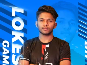 Lokesh Gamer Net Worth